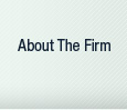 About The Law Firm